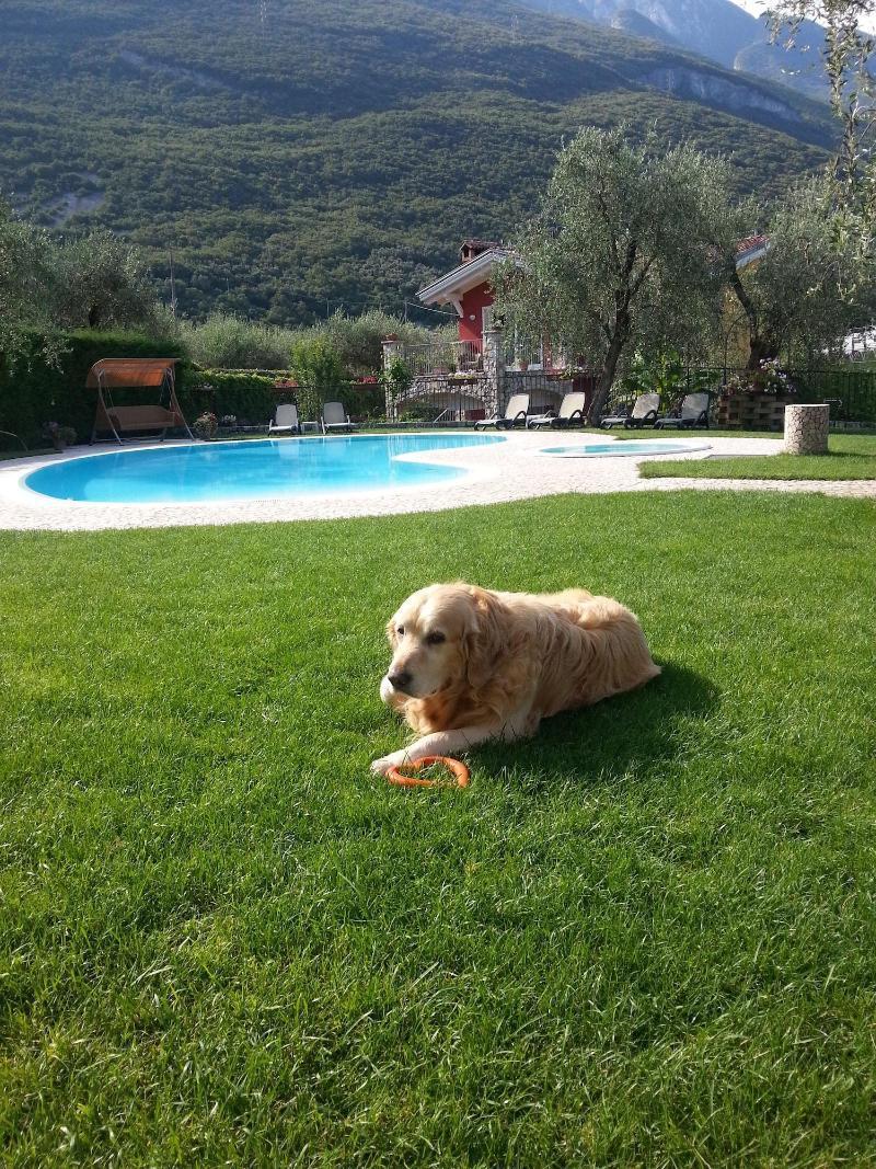 Benacus Hotel 3*